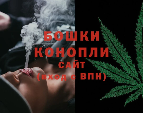 spice Гусь-Хрустальный
