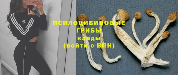 кокаин Гусев