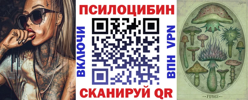 цены   blacksprut ссылка  Галлюциногенные грибы MAGIC MUSHROOMS  Кисловодск 